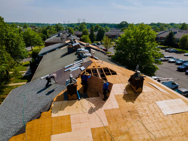 Roof Gutter Cleaning in Hutchison, VA