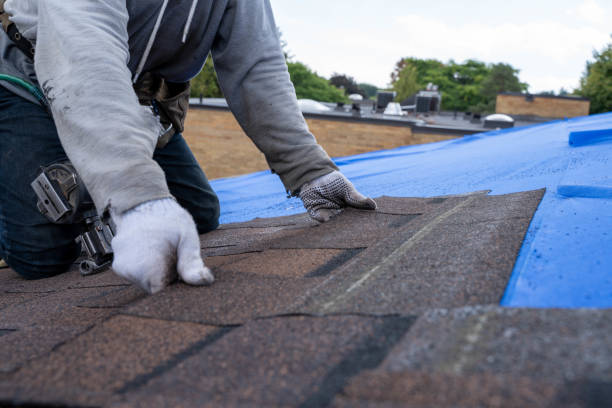 Best Roof Gutter Cleaning  in Hutchison, VA